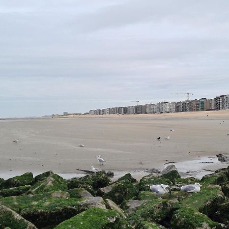 Résidence Jersey  Coxyde Extérieur photo