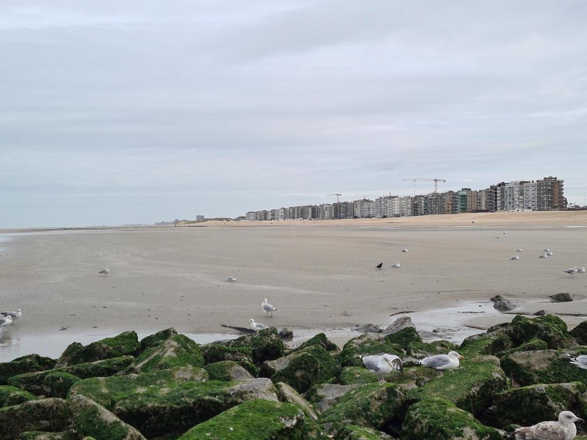 Résidence Jersey  Coxyde Extérieur photo